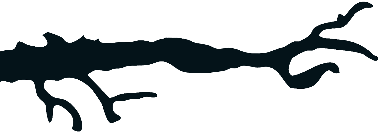 ast